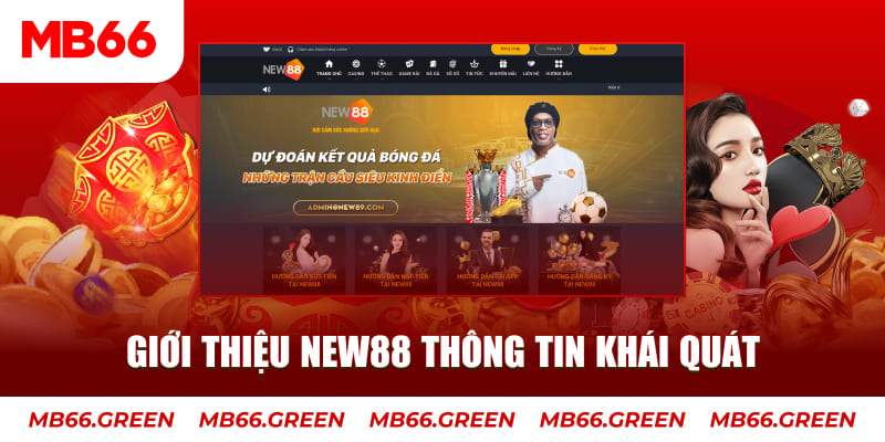 hi888 c1 gà chọi