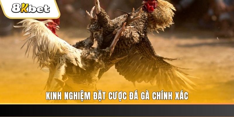 hi888 xổ số thứ bảy hàng tuần