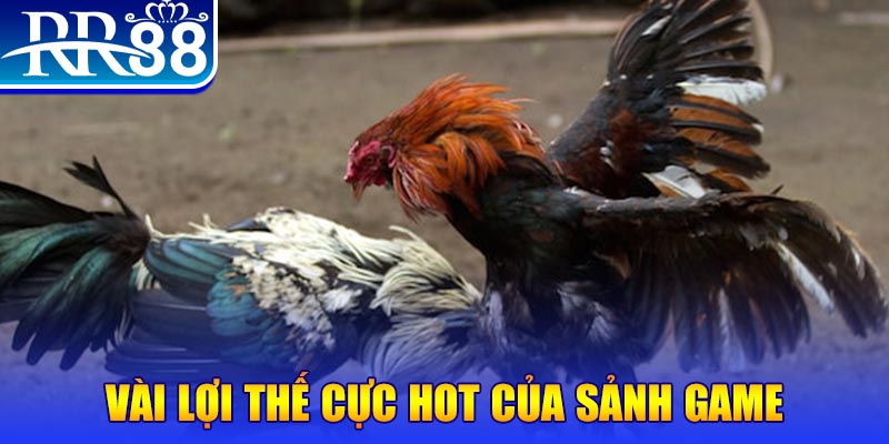 hi888 xổ số quảng nam