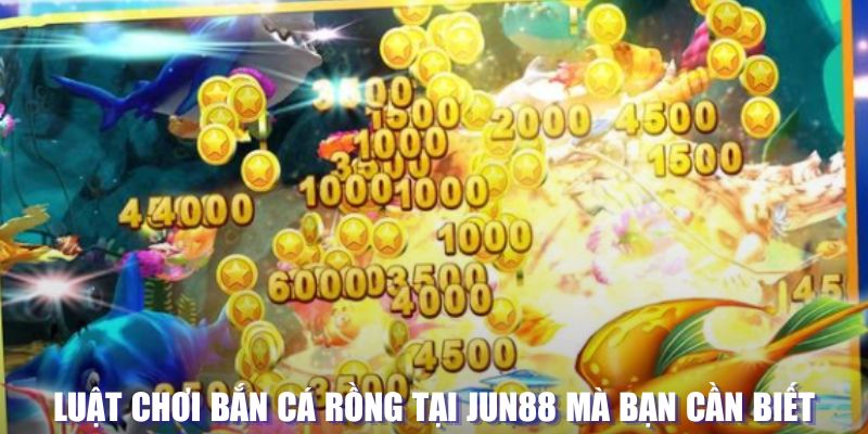 hi888 xổ số đài hà nội