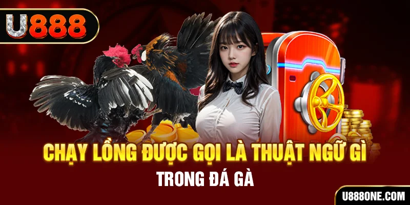 hi888 tai game vua bai ve may tinh