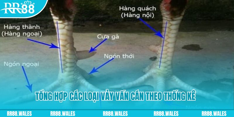 hi888 HB Điện Tử