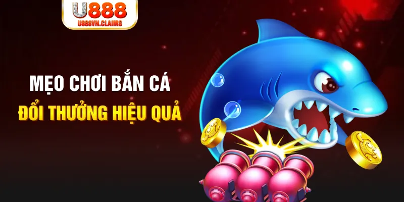 hi888 gà chọi cam ranh