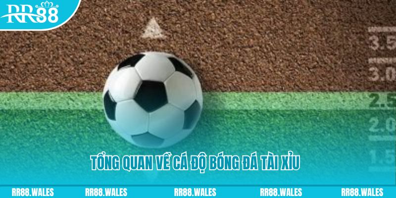 hi888 đăng nhập roulette online