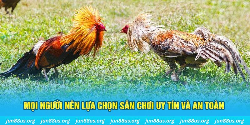 hi888 Cỡ bảy