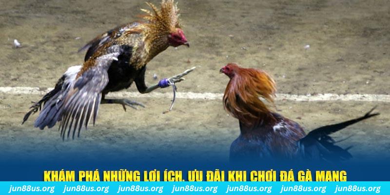 hi888 đăng nhập liêng live