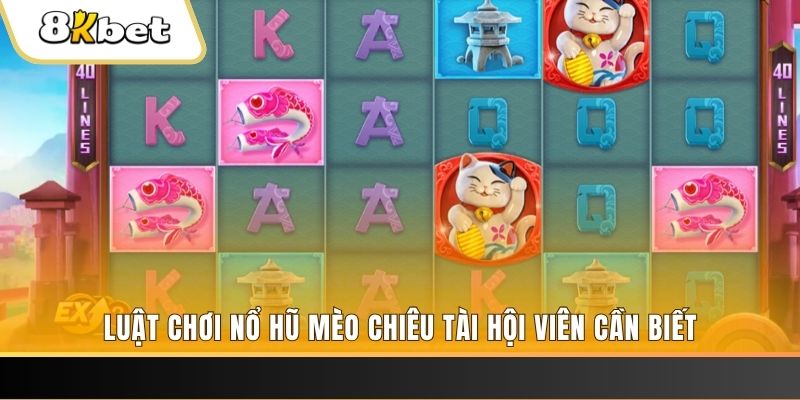 hi888 gà chọi cu cần
