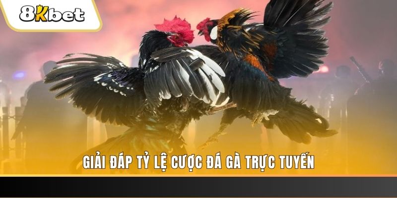 hi888 ban ca online