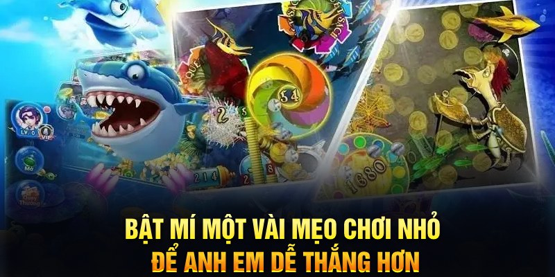 hi888 xổ số thứ ba