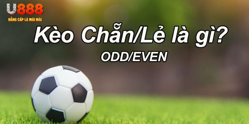 hi888 đăng nhập sòng bạc 2024