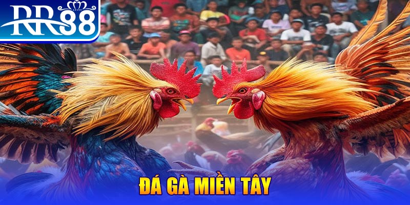 hi888 người chia bài trong casino gọi là gì