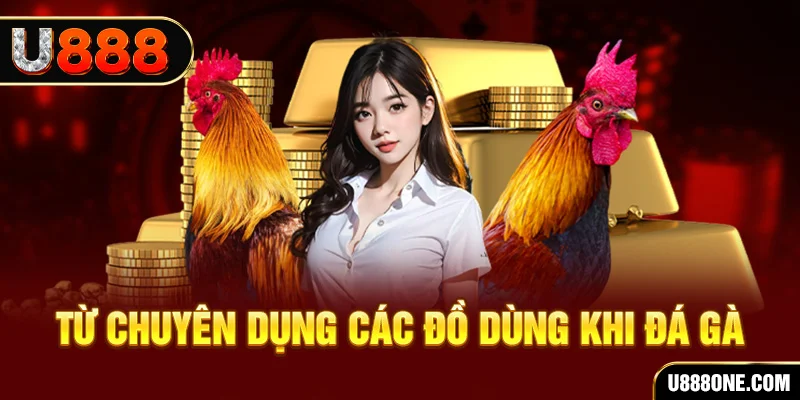 hi888 đá gà trực tiếp campuchia